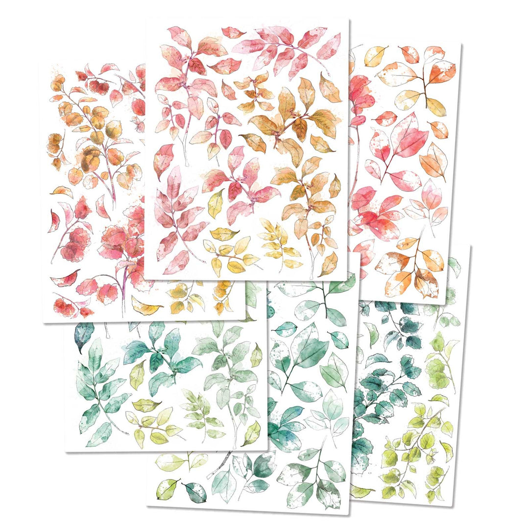 50 And Market Spectrum Sherbert Rub-Ons - Leaves SS36394
