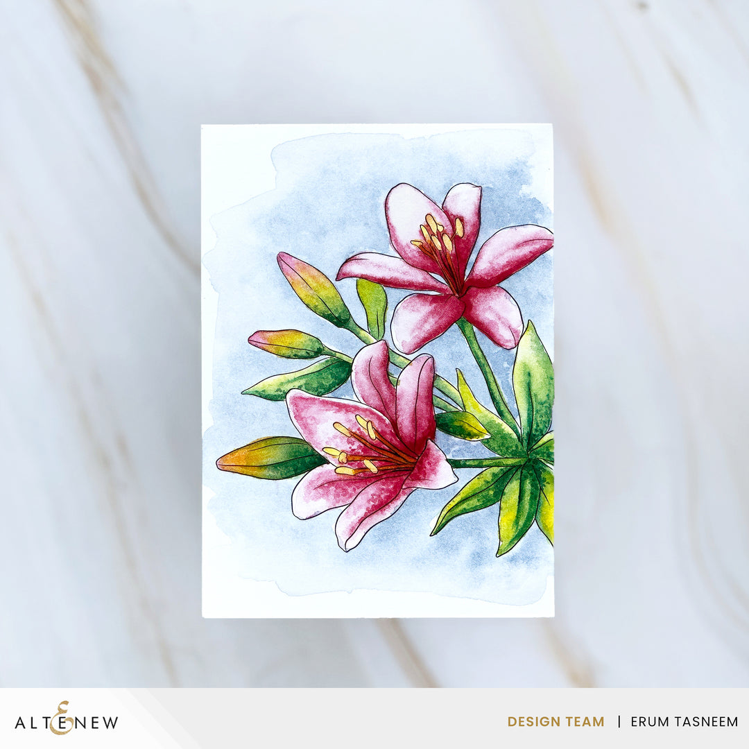 Altenew - The Watercolour Compact - Moody Brights