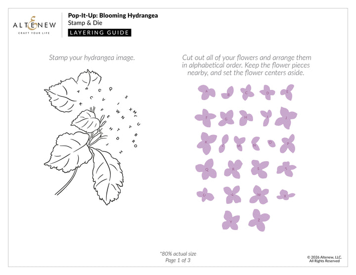 Altenew - Pop It Up: Blooming Hydrangea Stamp & Die Set