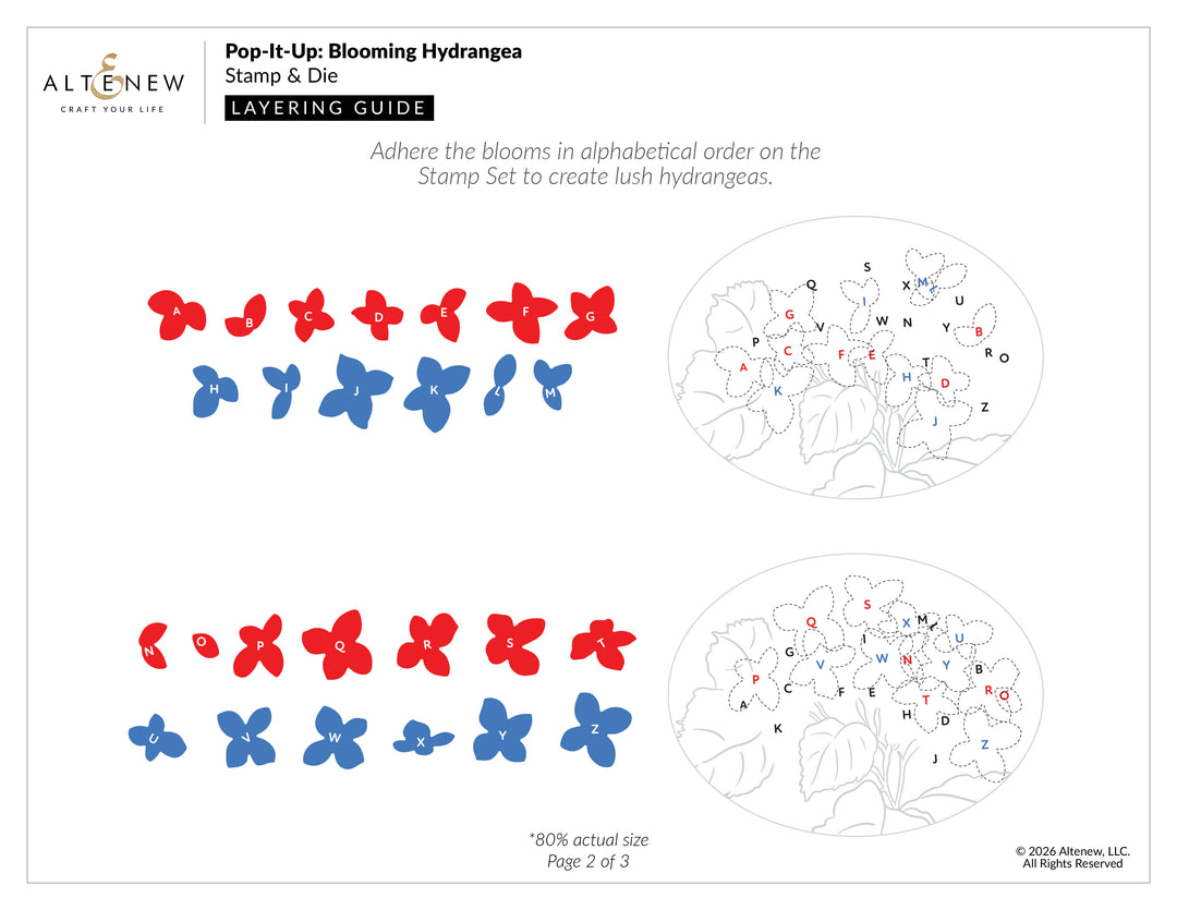 Altenew - Pop It Up: Blooming Hydrangea Stamp & Die Set