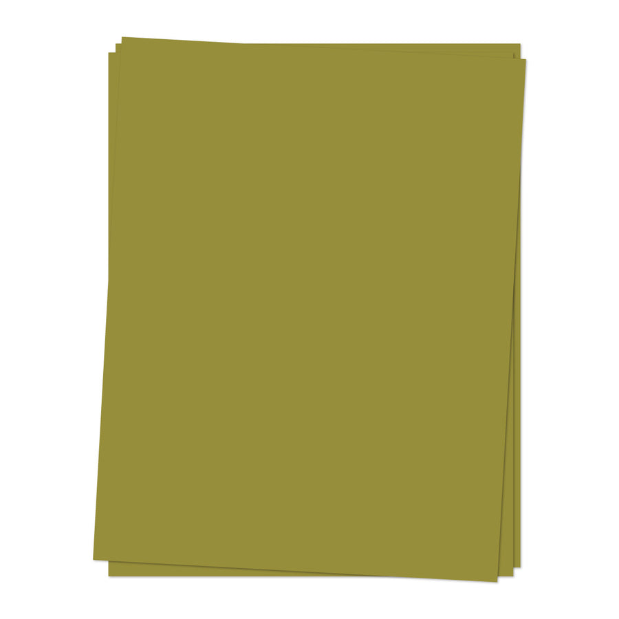 Concord & 9th - Card Stock Pack -  Grasshopper - 8.5" x 11" x 12 sheets