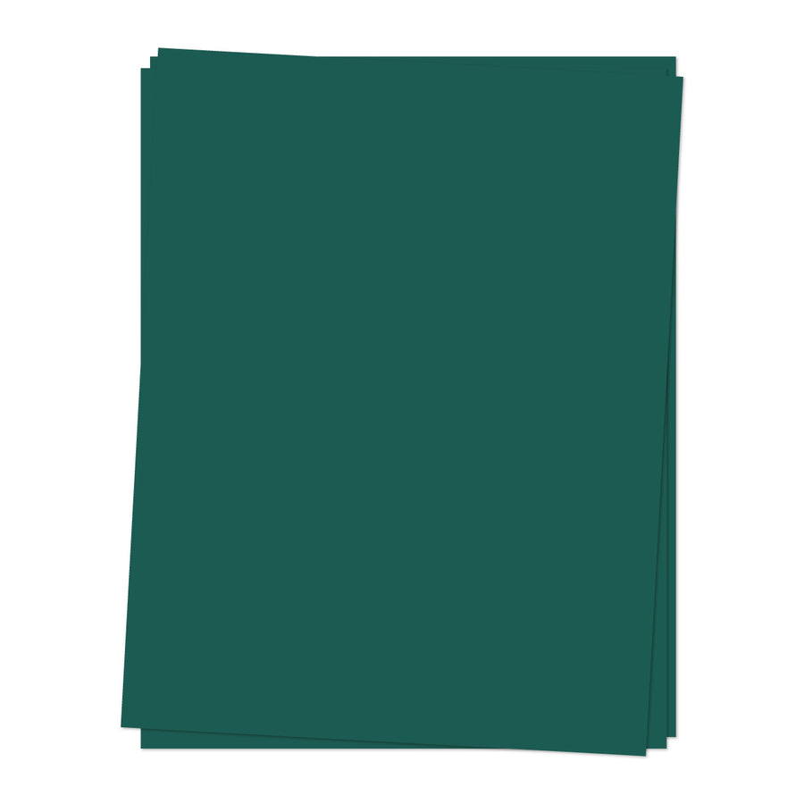 Concord & 9th - Card Stock Pack -  Rainforest - 8.5" x 11" x 12 sheets