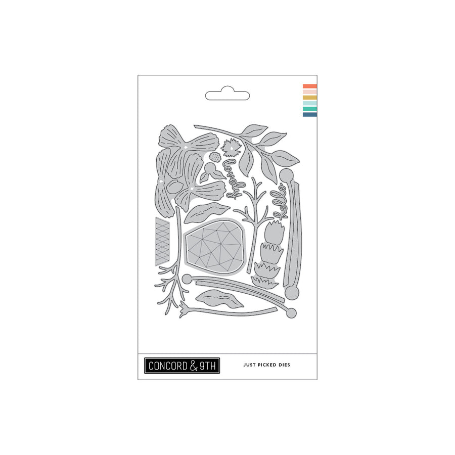 concord 9th just picked dies 12666