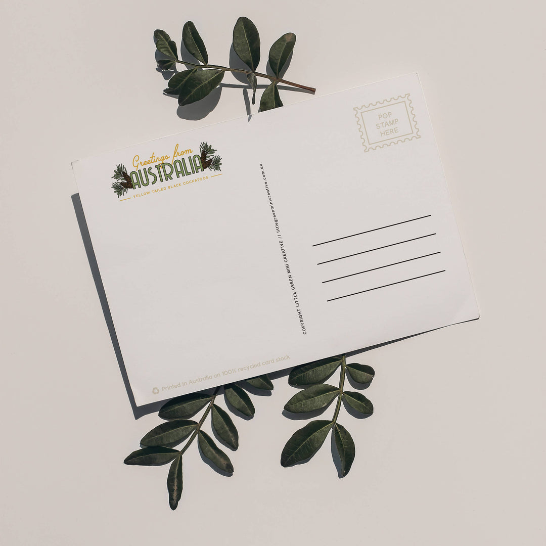 Little Green Mini Creative - Postcard - Black Cockatoos