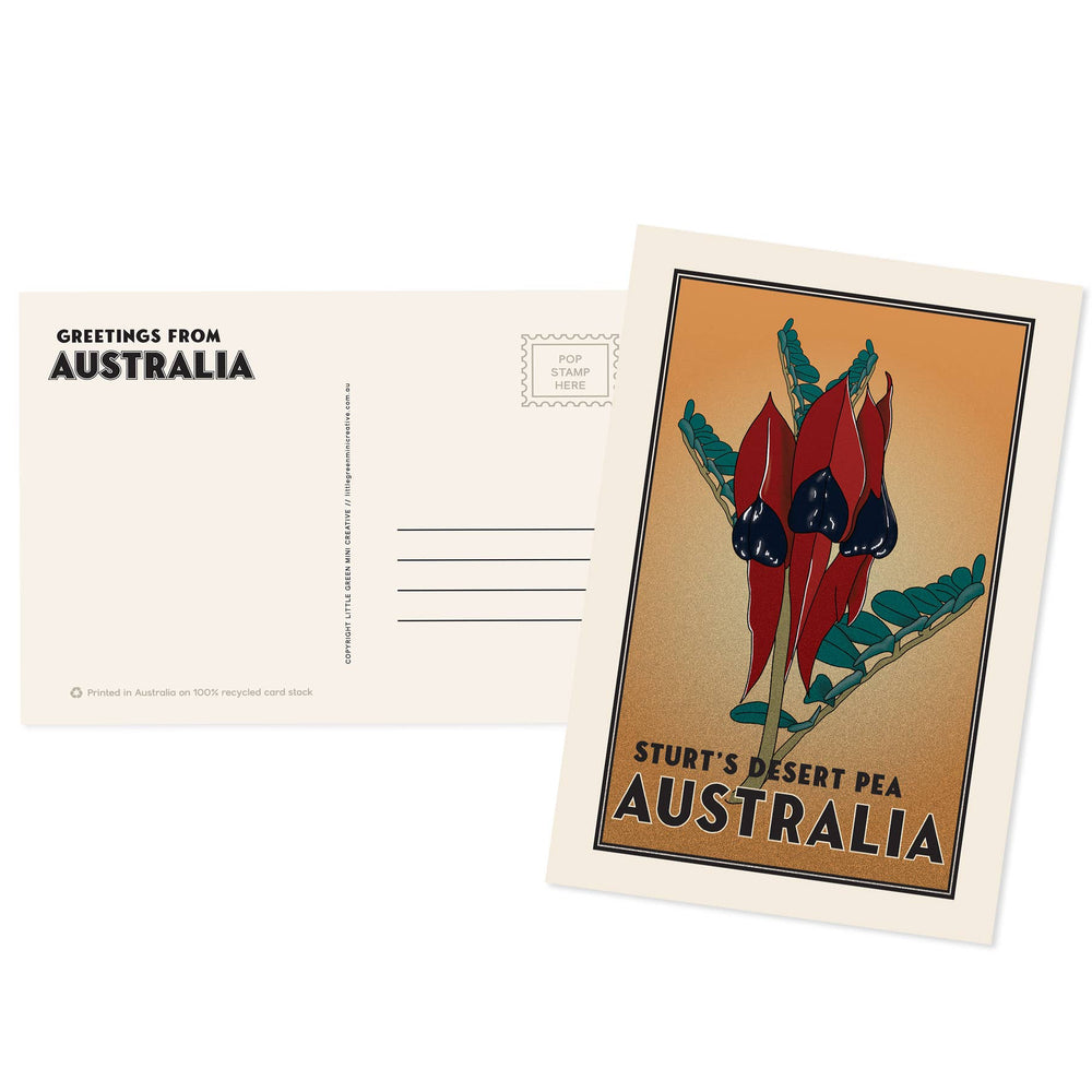 Postcard with Sturt's Desert Pea design on a white background
