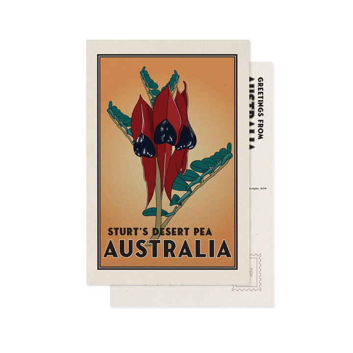 Vintage-style postcard of Sturt's Desert Pea from Australia on a white background