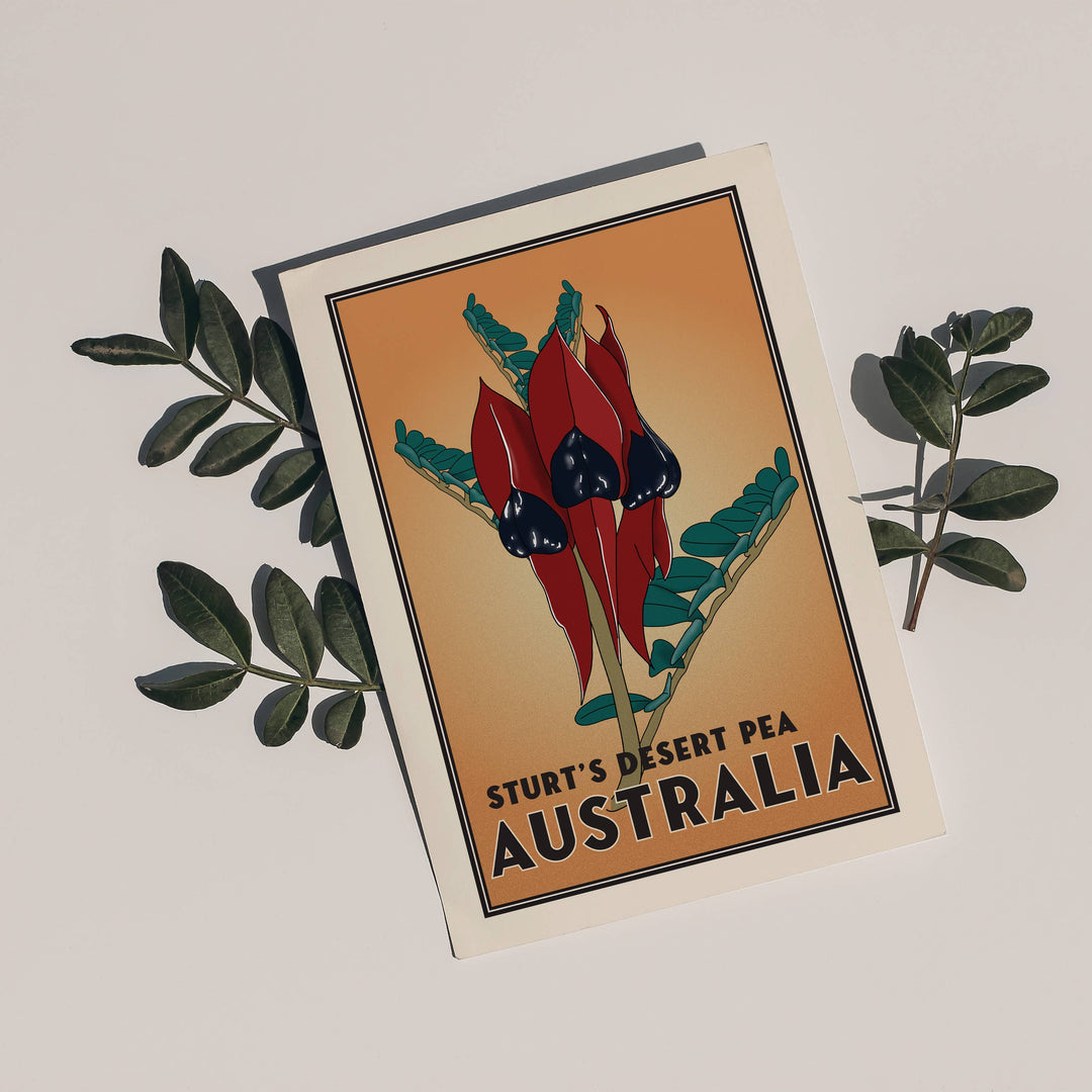 Little Green Mini Creative - Postcard - Sturt's Desert Pea