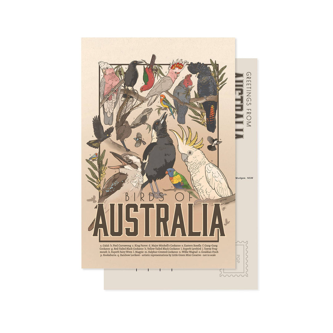 Little Green Mini Creative - Postcard - Birds of Australia