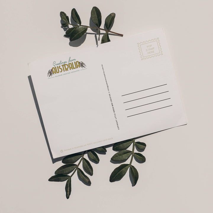 Postcard with green leaves on a light background