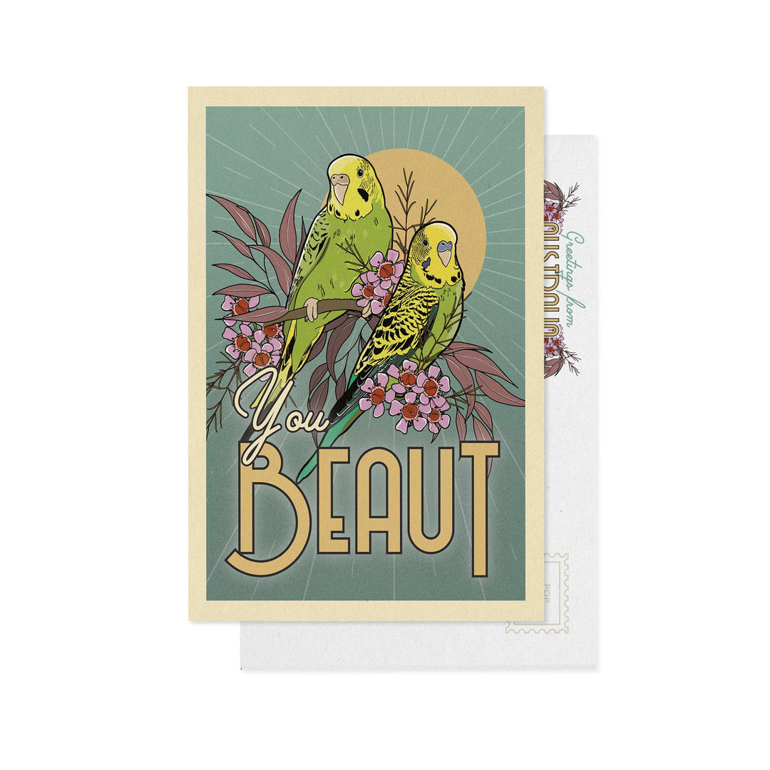 Little Green Mini Creative - Postcard - Budgerigar