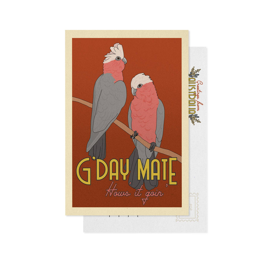 Little Green Mini Creative - Postcard - Galah