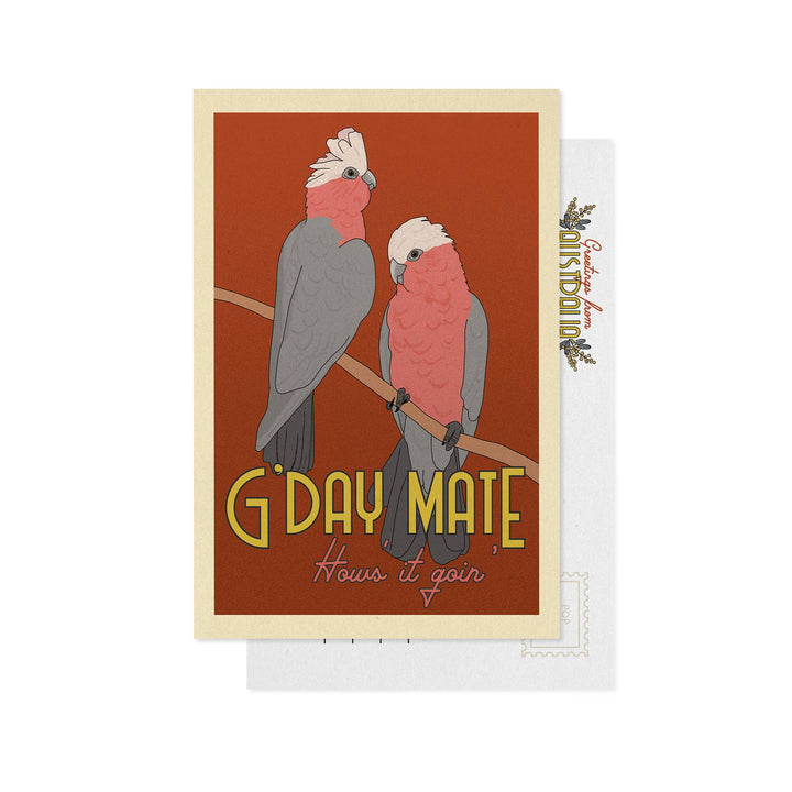 Little Green Mini Creative - Postcard - Galah