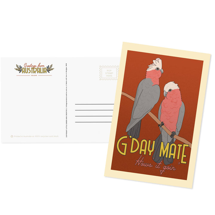 Little Green Mini Creative - Postcard - Galah