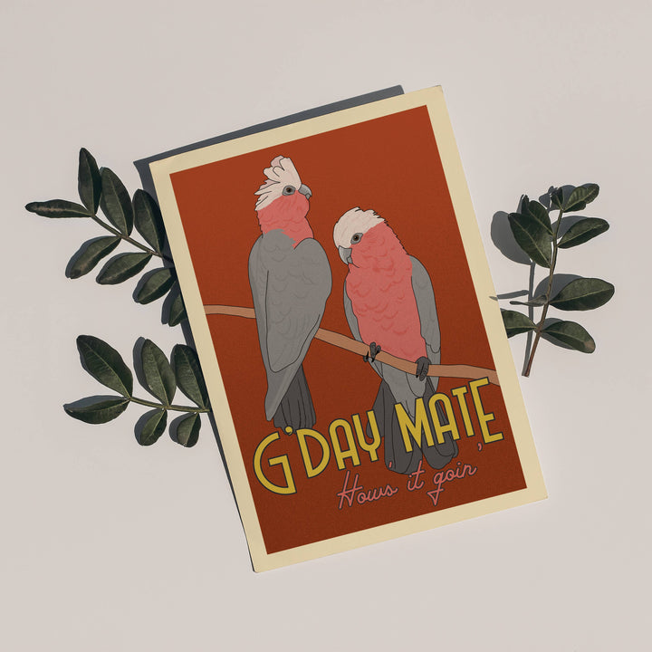 Little Green Mini Creative - Postcard - Galah