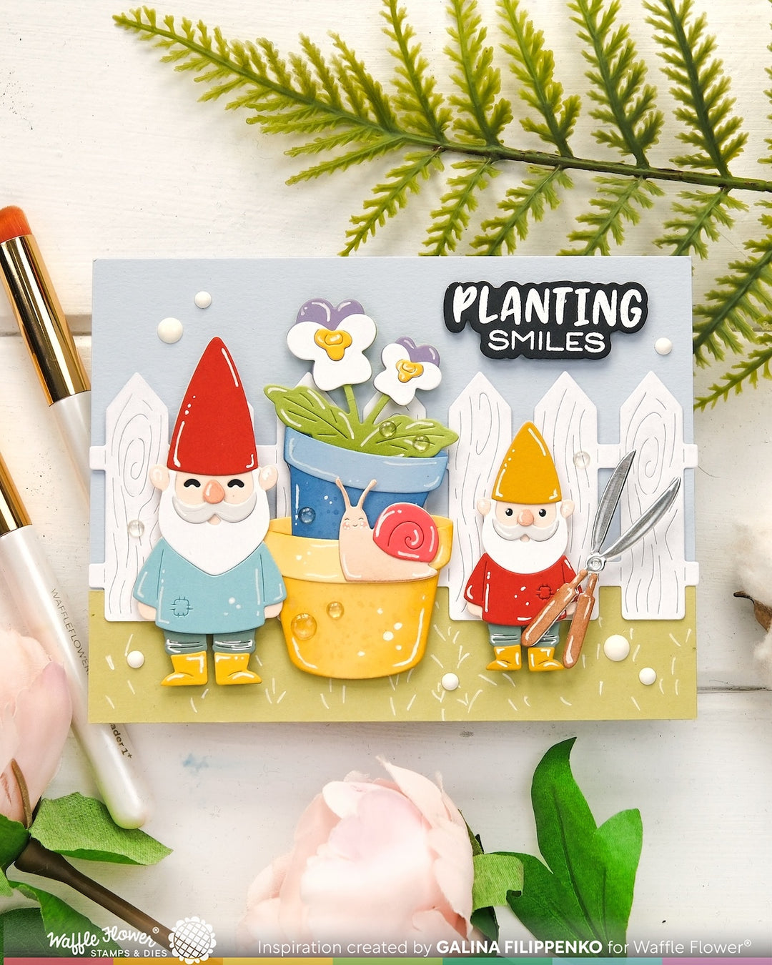 Waffle Flower - Pots and Plants Die