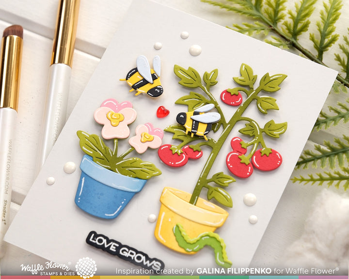 Waffle Flower - Pots and Plants Die