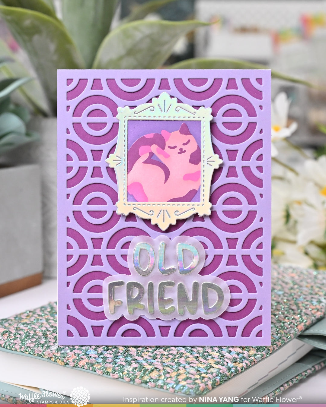 Waffle Flower - Old Friend Sentiments Combo
