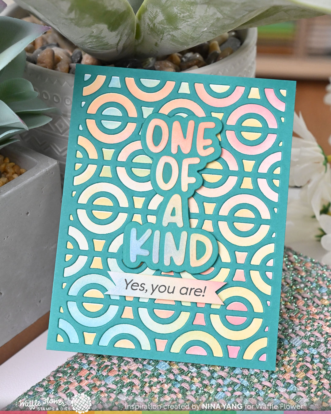 Waffle Flower - Old Friend Sentiments Combo