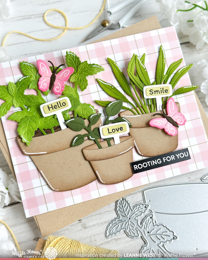 Waffle Flower - Plant Marker Combo