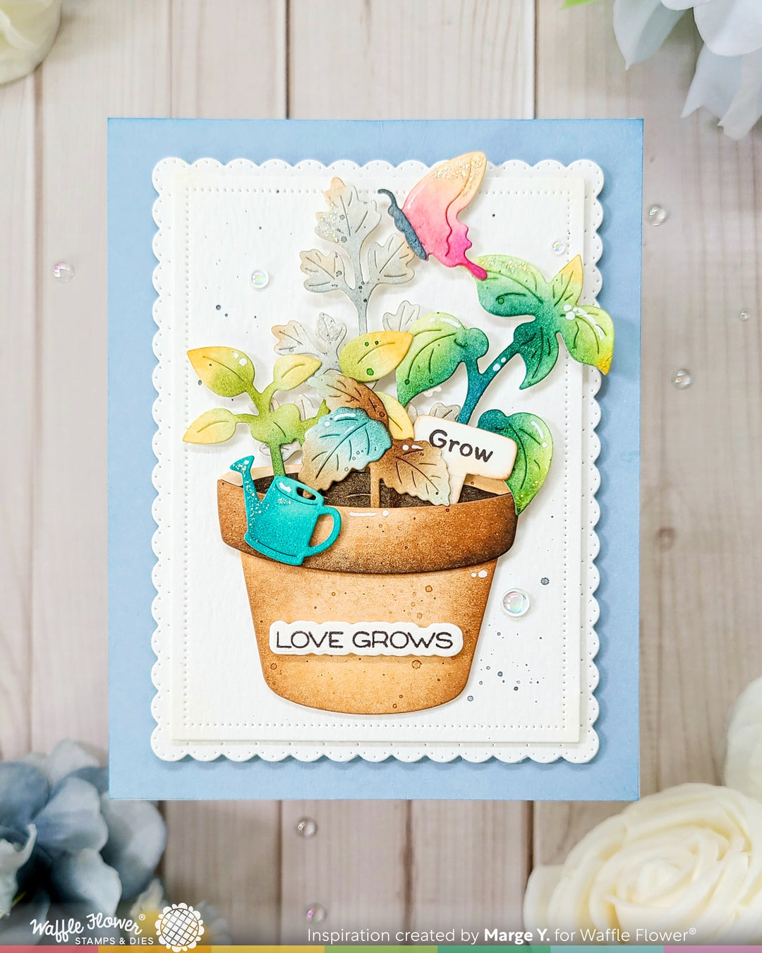 Waffle Flower - Happy Herbs Die