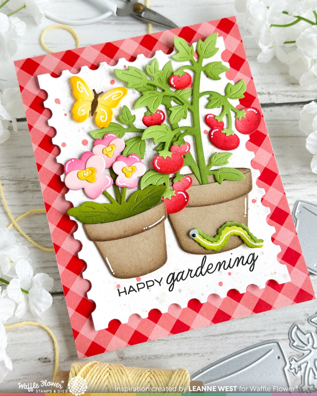 Waffle Flower - Pots and Plants Die