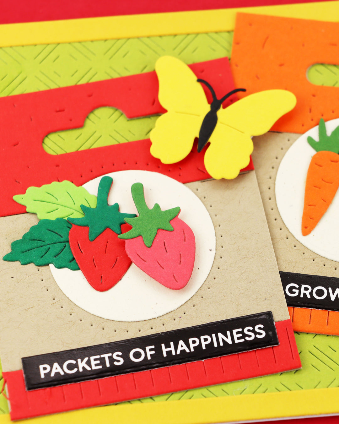 Waffle Flower - Seed Packet Die