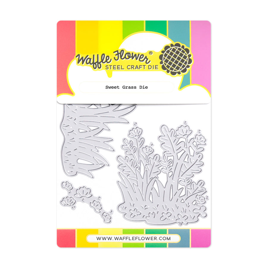 waffle flower sweet grass die 422362