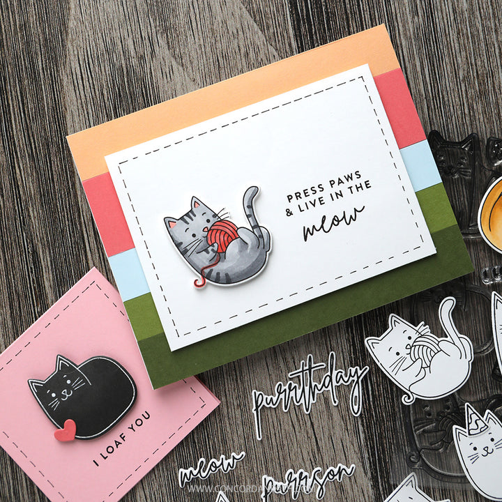 Concord & 9th - Live in the Meow Stamp Set & Dies Bundle