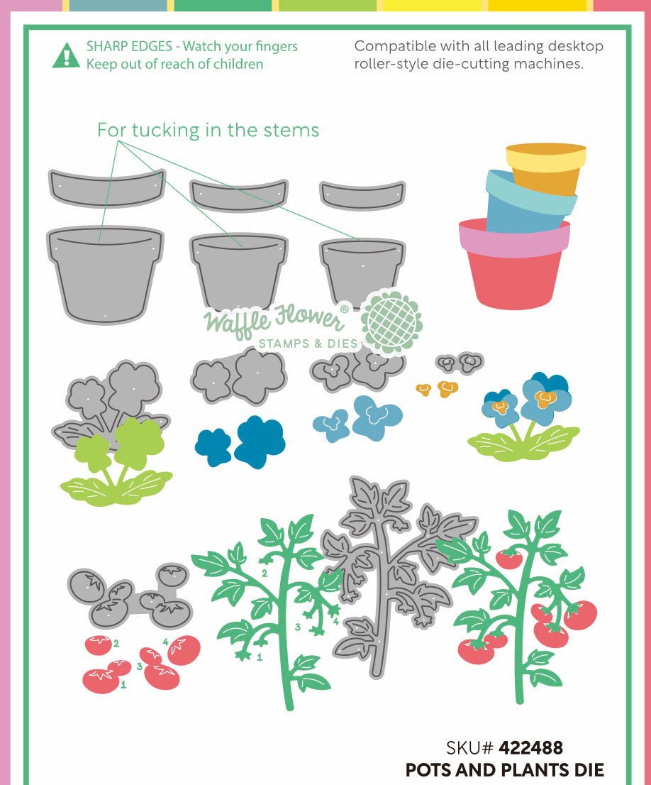 Waffle Flower - Pots and Plants Die