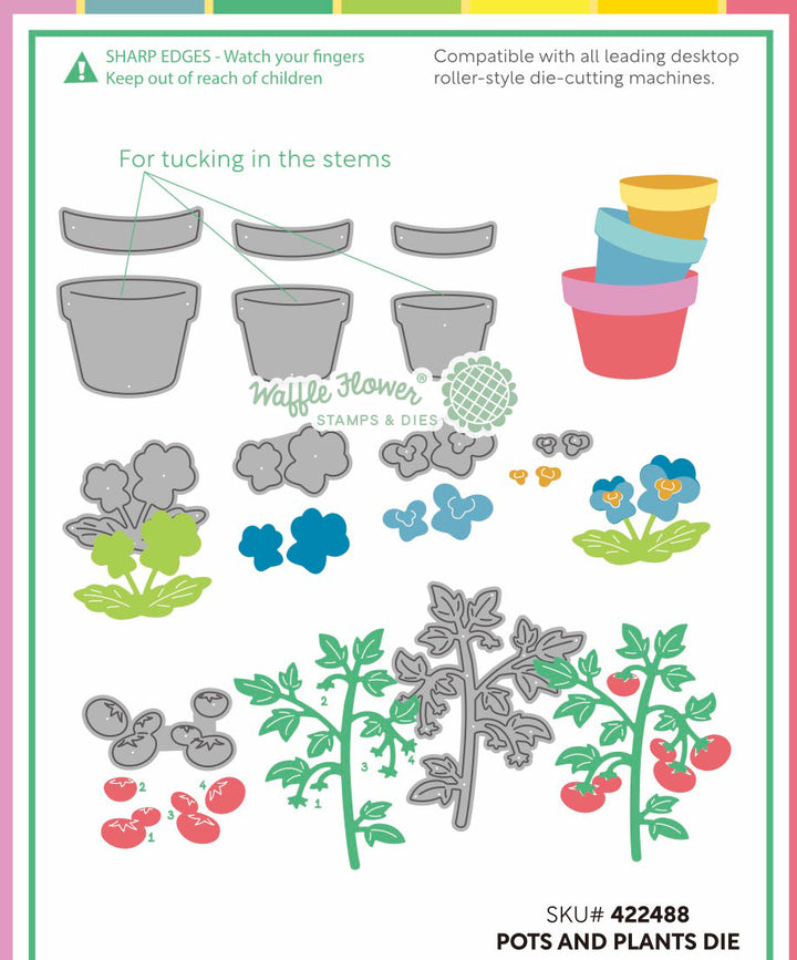 Waffle Flower - Pots and Plants Die